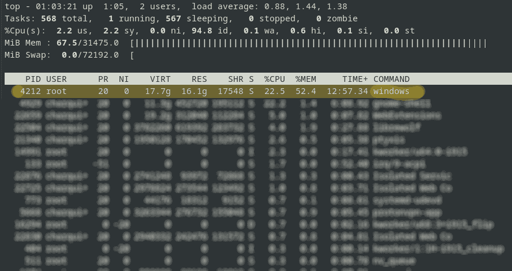 Terminal results of "top" command, highlighting "windows" process using 52.4% of memory.