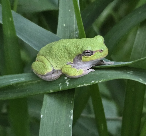 Southern Wisconsin