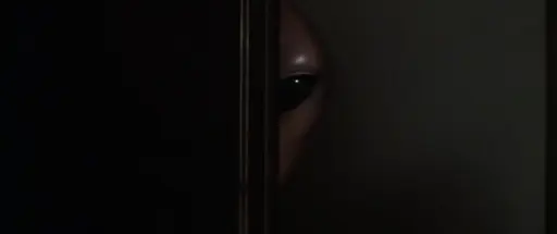 A grey extraterrestrial's face is half-visible from behind a closet door