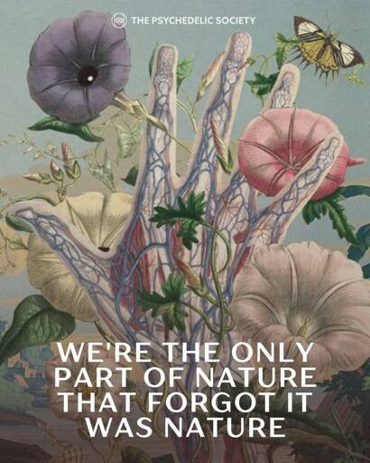 Image: a translucent human hand with prominent veins reaching through a scattering of datura flowers.  The caption reads: "we're the only part of nature that forgot it was nature."